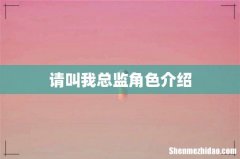 请叫我总监角色介绍