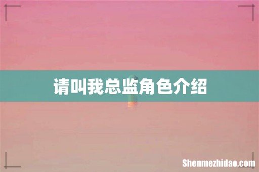 请叫我总监角色介绍
