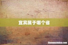 宜宾属于哪个省