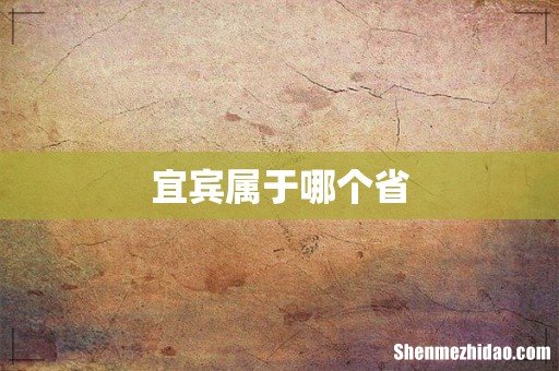 宜宾属于哪个省