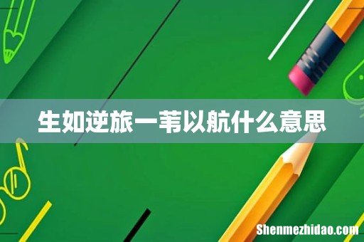 生如逆旅一苇以航什么意思