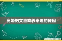 离婚妇女喜欢养泰迪的原因