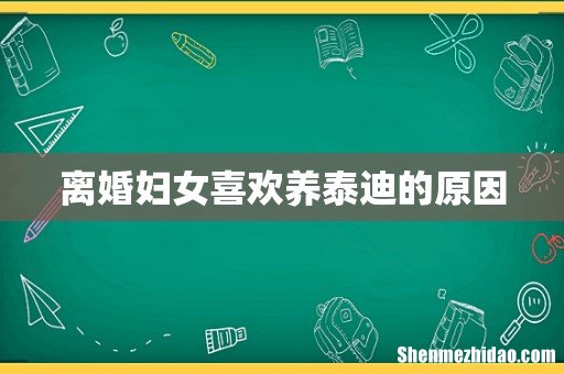 离婚妇女喜欢养泰迪的原因