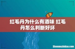 红毛丹为什么有酒味 红毛丹怎么判断好坏