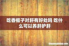 吃香榧子对肝有好处吗 吃什么可以养肝护肝
