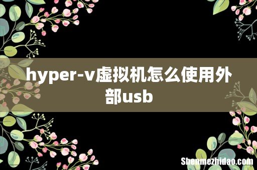 hyper-v虚拟机怎么使用外部usb