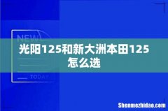 光阳125和新大洲本田125怎么选