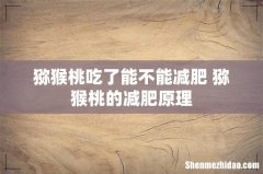 猕猴桃吃了能不能减肥 猕猴桃的减肥原理