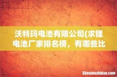 求锂电池厂家排名榜，有哪些比较推荐？ 沃特玛电池有限公司