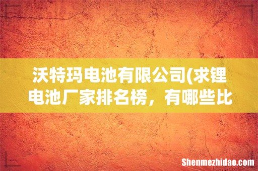 求锂电池厂家排名榜,有哪些比较推荐? 沃特玛电池有限公司