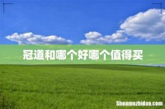 冠道和哪个好哪个值得买