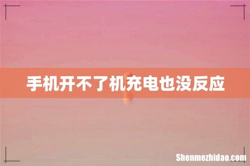 手机开不了机充电也没反应