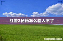 红警2秘籍怎么输入不了