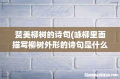 咏柳里面描写柳树外形的诗句是什么 赞美柳树的诗句