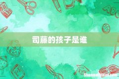 司藤的孩子是谁