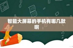 智能大屏幕的手机有哪几款啊