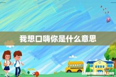 我想口嗨你是什么意思