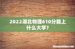 2022湖北物理610分能上什么大学？