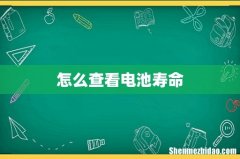 怎么查看电池寿命