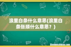浪里白条张顺什么意思？ 浪里白条什么意思