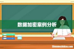 数据加密案例分析