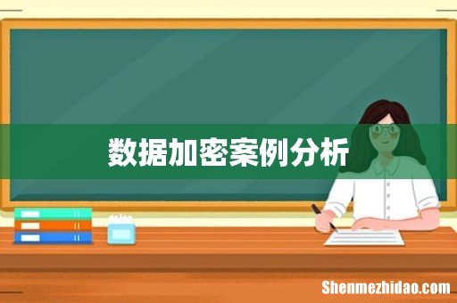 数据加密案例分析