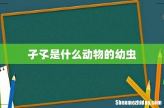 孑孓是什么动物的幼虫