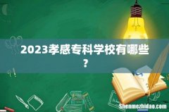 2023孝感专科学校有哪些？