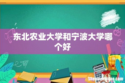 东北农业大学和宁波大学哪个好