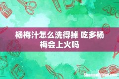 杨梅汁怎么洗得掉 吃多杨梅会上火吗