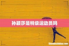 孙颖莎是特级运动员吗