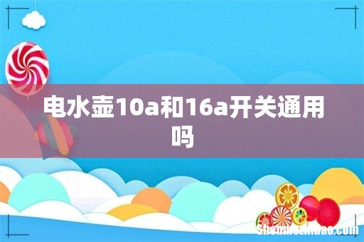 电水壶10a和16a开关通用吗