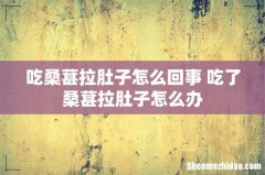 吃桑葚拉肚子怎么回事 吃了桑葚拉肚子怎么办