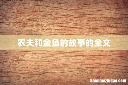 农夫和金鱼的故事的全文