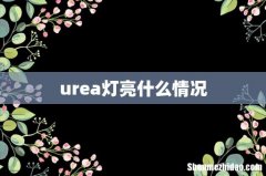urea灯亮什么情况
