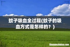 蚊子的吸血方式是怎样的？ 蚊子吸血全过程