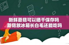 新鲜蘑菇可以晒干保存吗 蘑菇放冰箱长白毛还能吃吗