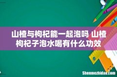 山楂与枸杞能一起泡吗 山楂枸杞子泡水喝有什么功效