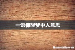 一语惊醒梦中人意思