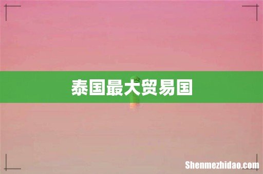 泰国最大贸易国