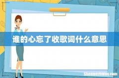 谁的心忘了收歌词什么意思