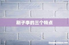 刷子李的三个特点