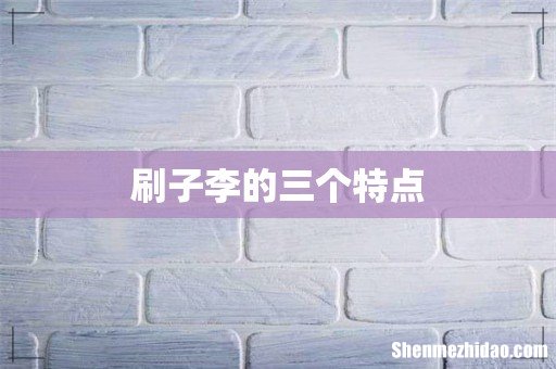 刷子李的三个特点
