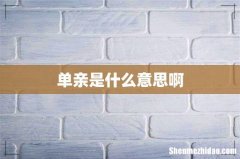 单亲是什么意思啊