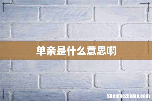 单亲是什么意思啊