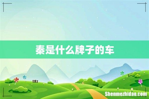 秦是什么牌子的车