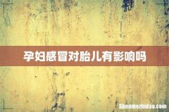 孕妇感冒对胎儿有影响吗