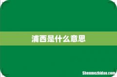 浦西是什么意思