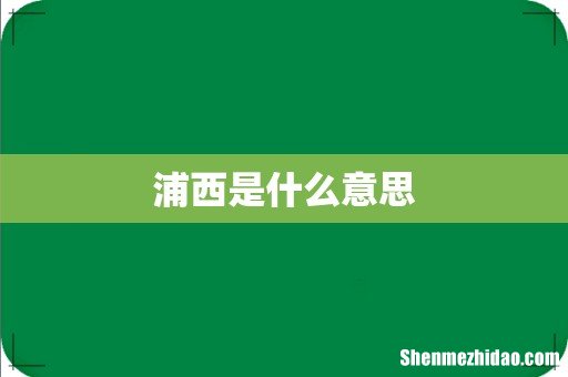 浦西是什么意思