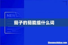 茄子的茄能组什么词